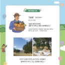꽃소담 이미지