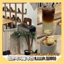 방촌공원 | [방촌역 카페] 대구 동구 방촌동 공부하기 좋은 카페 카공 편한 좌석 추천 || 일루아 ILUAA