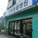 민트동물병원 이미지