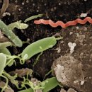 깊은바다 이미지