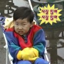 금성각 | 2024 가을 정리