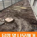 석교2리 마을회관 이미지