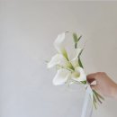 경태농장 | 9월 일기, 추석 주간