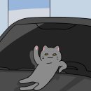보틀리