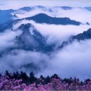 불광2-009 Daum카페