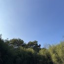 담양레이나컨트리클럽 이미지