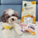 찹찹 펫푸드 이미지