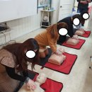비손환경