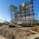 7층약국 이미지