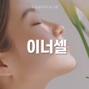 이너셀