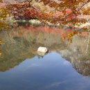 2016.11.12 장성 백학봉 이미지