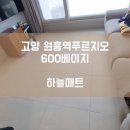 시립행신그린어린이집 | [하늘매트] 고양 층간소음매트 고양 원흥역푸르지오 아파트 600 베이지 시공사례입니다.