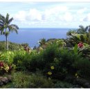 트럼펫연주 이미지