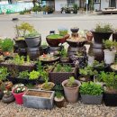 솔향기민박 이미지