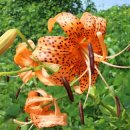 관포경로당 이미지