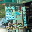 나주개미집 이미지