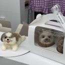 멍플랙스 이미지