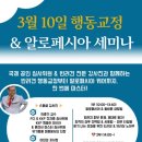 화이트애견