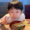 마린월드 구내식당 후기– 수조를 보면서 식사할 수 있는, 생각보다 괜찮은 선택