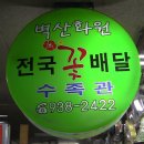벽산화원