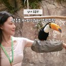 재재 - 서구 구덕로296번길 54 | 영등포 타임스퀘어 주렁주렁 데이트 놀거리 실내 동물원 재재방문 후기