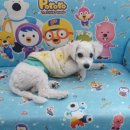 만년YES동물병원 이미지