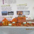 터미널여인숙 이미지