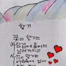 상용 Daum카페