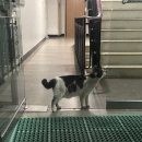 아람여관 이미지