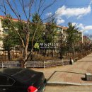 일산로135번길 이미지