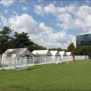 골드펫리조트 이미지