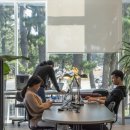 더웨이브 이미지