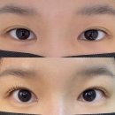 오로시뷰티 | [명동 속눈썹펌] 오로시 방문후기