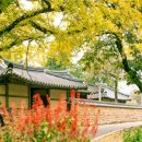 정촌유기농원 이미지