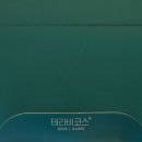 피엔글로벌