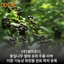 (주)나무엘