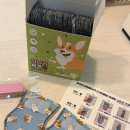 슈즈와우 | 겨울철 제설제 강아지 발 괜찮을까? 🐶 내돈내산 와우 강아지신발 숨쉬는 신나라슈즈 80매 솔직후기