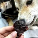 바이케이알 이미지