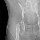 의정부24시IU동물병원 이미지