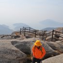 남해상사 이미지