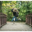 성원행정사사무소 이미지