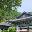 카페단향 이미지