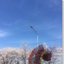 ＜벚꽃축제＞ 여의도 벚꽃축제에 다녀왔어요~~!^0^ 이미지