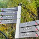 농업생명과학대학3관 | 11월 단풍 명소 | 안양예술공원, 새단장한 서울대 관악수목원(안양수목원) 주말 주차 후기