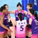 현대인삼 이미지