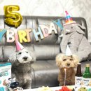 멍냥이네 구멍가게 이미지