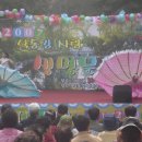 스님+며느리+강아지 이미지