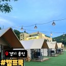 힐링쿡 | 용인 바베큐 캠프쿡 | 애견동반 가능한 도심 속 힐링 캠핑장 후기