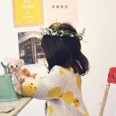 베베더로니