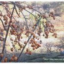 덕산농장2 이미지